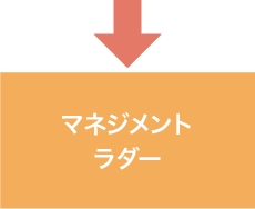 マネジメントラダー